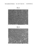 TOUCH SCREEN PANEL AND METHOD OF FABRICATING THE SAME diagram and image