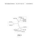 METHOD FOR QUICK-SEARCH OF LOCI-OF-INTEREST IN A GENE SEQUENCE OF A TARGET     BIOLOGICAL VIRUS diagram and image