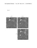 CROP LOSS DETERMINATION diagram and image