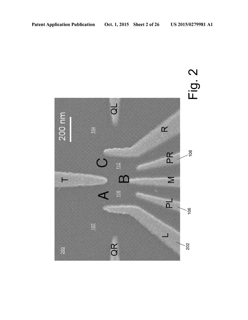 DIRECT TUNNEL BARRIER CONTROL GATES IN A TWO-DIMENSIONAL ELECTRONIC SYSTEM - diagram, schematic, and image 03