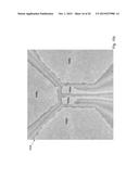 DIRECT TUNNEL BARRIER CONTROL GATES IN A TWO-DIMENSIONAL ELECTRONIC SYSTEM diagram and image