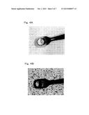 Light Emitting Device that Includes Protective Film Having Uniform     Thickness diagram and image