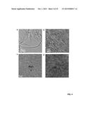 THREE-DIMENSIONAL GRAPHENE-BACKBONED ARCHITECTURES AND METHODS OF MAKING     THE SAME diagram and image