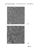 THREE-DIMENSIONAL GRAPHENE-BACKBONED ARCHITECTURES AND METHODS OF MAKING     THE SAME diagram and image