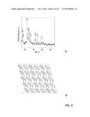 THREE-DIMENSIONAL GRAPHENE-BACKBONED ARCHITECTURES AND METHODS OF MAKING     THE SAME diagram and image