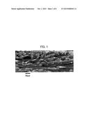 POROUS ELECTRODE SUBSTRATE AND PROCESS FOR PRODUCTION THEREOF, POROUS     ELECTRODE SUBSTRATE PRECURSOR SHEET, MEMBRANE-ELECTRODE ASSEMBLY, AND     POLYMER ELECTROLYTE FUEL CELL diagram and image