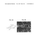 POROUS ELECTRODE SUBSTRATE AND PROCESS FOR PRODUCTION THEREOF, POROUS     ELECTRODE SUBSTRATE PRECURSOR SHEET, MEMBRANE-ELECTRODE ASSEMBLY, AND     POLYMER ELECTROLYTE FUEL CELL diagram and image