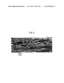 POROUS ELECTRODE SUBSTRATE AND PROCESS FOR PRODUCTION THEREOF, POROUS     ELECTRODE SUBSTRATE PRECURSOR SHEET, MEMBRANE-ELECTRODE ASSEMBLY, AND     POLYMER ELECTROLYTE FUEL CELL diagram and image