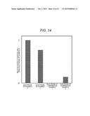 BIOFUEL CELL, METHOD FOR PRODUCTION OF BIOFUEL CELL, ELECTRONIC DEVICE,     ENZYME IMMOBILIZATION ELECTRODE, METHOD FOR PRODUCTION OF ENZYME     IMMOBILIZATION ELECTRODE, ELECTRODE FOR PRODUCTION OF ENZYME     IMMOBILIZATION ELECTRODE, METHOD FOR 5 PRODUCTION OF ELECTRODE FOR     PRODUCTION OF ENZYME IMMOBILIZATION ELECTRODE AND ENZYME REACTION USING     DEVICE diagram and image