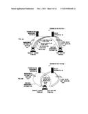 TRANSMISSION SYSTEM, RELAY APPARATUS, TRANSMISSION TERMINAL, AND     TRANSMISSION TERMINAL CONTROL PROGRAM diagram and image