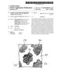 SYSTEMS AND METHODS FOR PROVIDING SURFACE CONNECTIVITY OF ORIENTED     CONDUCTIVE CHANNELS diagram and image