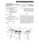 Polyaxial Plate Rod System and Surgical Procedure diagram and image