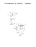 Polyaxial Plate Rod System and Surgical Procedure diagram and image