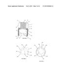 Polyaxial Plate Rod System and Surgical Procedure diagram and image