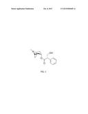 STABLE ORALLY DISINTEGRATING TABLETS OF HYOSCYAMINE diagram and image