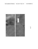 USE OF SILICON OXIDE-BASED MATERIAL FOR THE MODIFIED RELEASE OF     BIOLOGICALLY ACTIVE AGENTS diagram and image