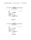 Rivastigmine Transdermal Compositions and Methods of Using the Same diagram and image