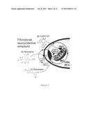 COMBINATION THERAPIES FOR THE TREATMENT OF ALZHEIMER S DISEASE AND RELATED     DISORDERS diagram and image