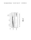 Immunomodulatory Compounds for the Restoration of Vitamin D Sensitivity in     Vitamin D Resistant Tumor Cells diagram and image