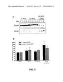 Immunomodulatory Compounds for the Restoration of Vitamin D Sensitivity in     Vitamin D Resistant Tumor Cells diagram and image