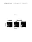 TREATMENT OF CANCERS USING PI3 KINASE ISOFORM MODULATORS diagram and image