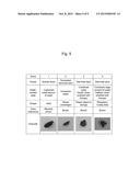 AGENT FOR ALLEVIATING STRESS-INDUCED BOWEL DISORDER CONTAINING SPECIFIC     LACTOBACILLUS GASSERI STRAIN OR TREATED PRODUCT THEREOF diagram and image