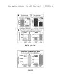 THY1 (CD90) AS A NOVEL THERAPY TO CONTROL ADIPOSE TISSUE ACCUMULATION diagram and image