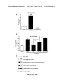THY1 (CD90) AS A NOVEL THERAPY TO CONTROL ADIPOSE TISSUE ACCUMULATION diagram and image