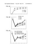 Controlled Release Of Growth Factors And Signaling Molecules For Promoting     Angiogenesis diagram and image