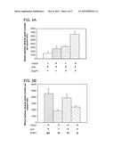 Controlled Release Of Growth Factors And Signaling Molecules For Promoting     Angiogenesis diagram and image