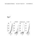 METHODS AND COMPOSITIONS FOR THE TREATMENT OF CANCER diagram and image