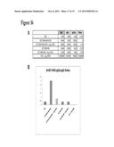 METHODS AND COMPOSITIONS FOR THE TREATMENT OF CANCER diagram and image