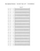 Recombinant Feline Leukemia Virus Vaccine Containing Optimized Feline     Leukemia Virus Envelope Gene diagram and image