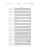 Recombinant Feline Leukemia Virus Vaccine Containing Optimized Feline     Leukemia Virus Envelope Gene diagram and image