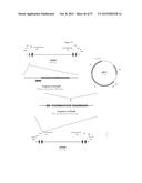 Recombinant Feline Leukemia Virus Vaccine Containing Optimized Feline     Leukemia Virus Envelope Gene diagram and image