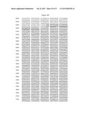 Recombinant Feline Leukemia Virus Vaccine Containing Optimized Feline     Leukemia Virus Envelope Gene diagram and image