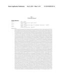 PORCINE PARVOVIRUS 5B, METHODS OF USE AND VACCINE diagram and image