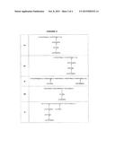 IMMUNOGENIC COMPOSITIONS diagram and image