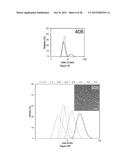 POLYMERIC NANOPARTICLES diagram and image