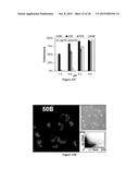 POLYMERIC NANOPARTICLES diagram and image