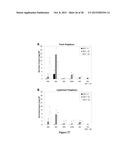 POLYMERIC NANOPARTICLES diagram and image