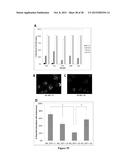 POLYMERIC NANOPARTICLES diagram and image