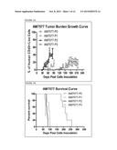 MODELING ANTI-LEUKEMIC THERAPY BY PATIENT DERIVED AML XENOGRAFTS WITH     DISTINCT PHENOTYPES/GENOTYPES diagram and image