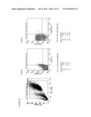 MODELING ANTI-LEUKEMIC THERAPY BY PATIENT DERIVED AML XENOGRAFTS WITH     DISTINCT PHENOTYPES/GENOTYPES diagram and image