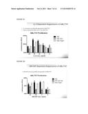 MODELING ANTI-LEUKEMIC THERAPY BY PATIENT DERIVED AML XENOGRAFTS WITH     DISTINCT PHENOTYPES/GENOTYPES diagram and image