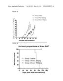 MODELING ANTI-LEUKEMIC THERAPY BY PATIENT DERIVED AML XENOGRAFTS WITH     DISTINCT PHENOTYPES/GENOTYPES diagram and image