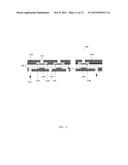 PARTICULATE NANOSORTING STACK diagram and image