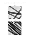 Methods For The Production Of Silver Nanowires diagram and image