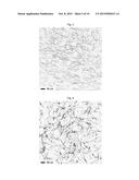 Methods For The Production Of Silver Nanowires diagram and image