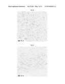 Methods For The Production Of Silver Nanowires diagram and image